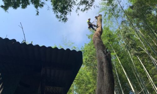 高本邸　合志市合生_200913_11